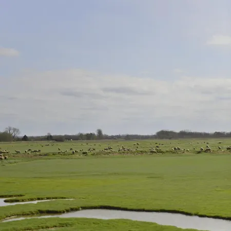 Le De La Baie - Vue En Baie De Somme *